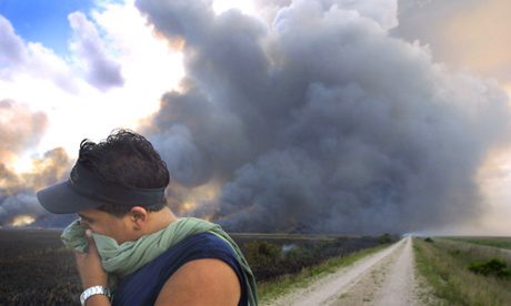 Everglades Wildfire brings Devastation