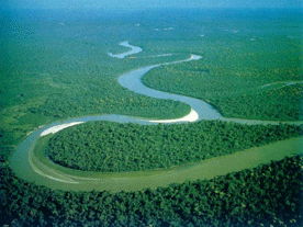 Amazon-River