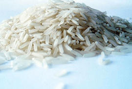 genetically-modified-rice-greenhouse-gases-worldweatheronline