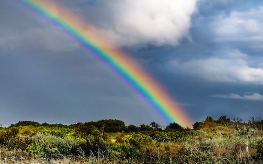 rainbow over green grass field